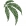 Small 48North Cannabis Corp. (NCNNF) logo