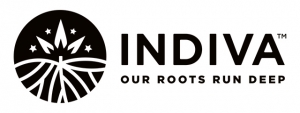 Indiva Limited (NDVA) logo