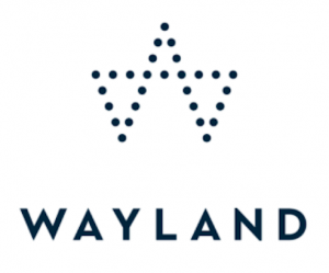 Wayland Group (WAYL) logo