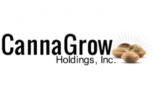 CannaGrow Holdings, Inc (CGRW) logo