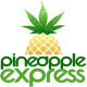Pineapple Express Inc. (PNPL) logo